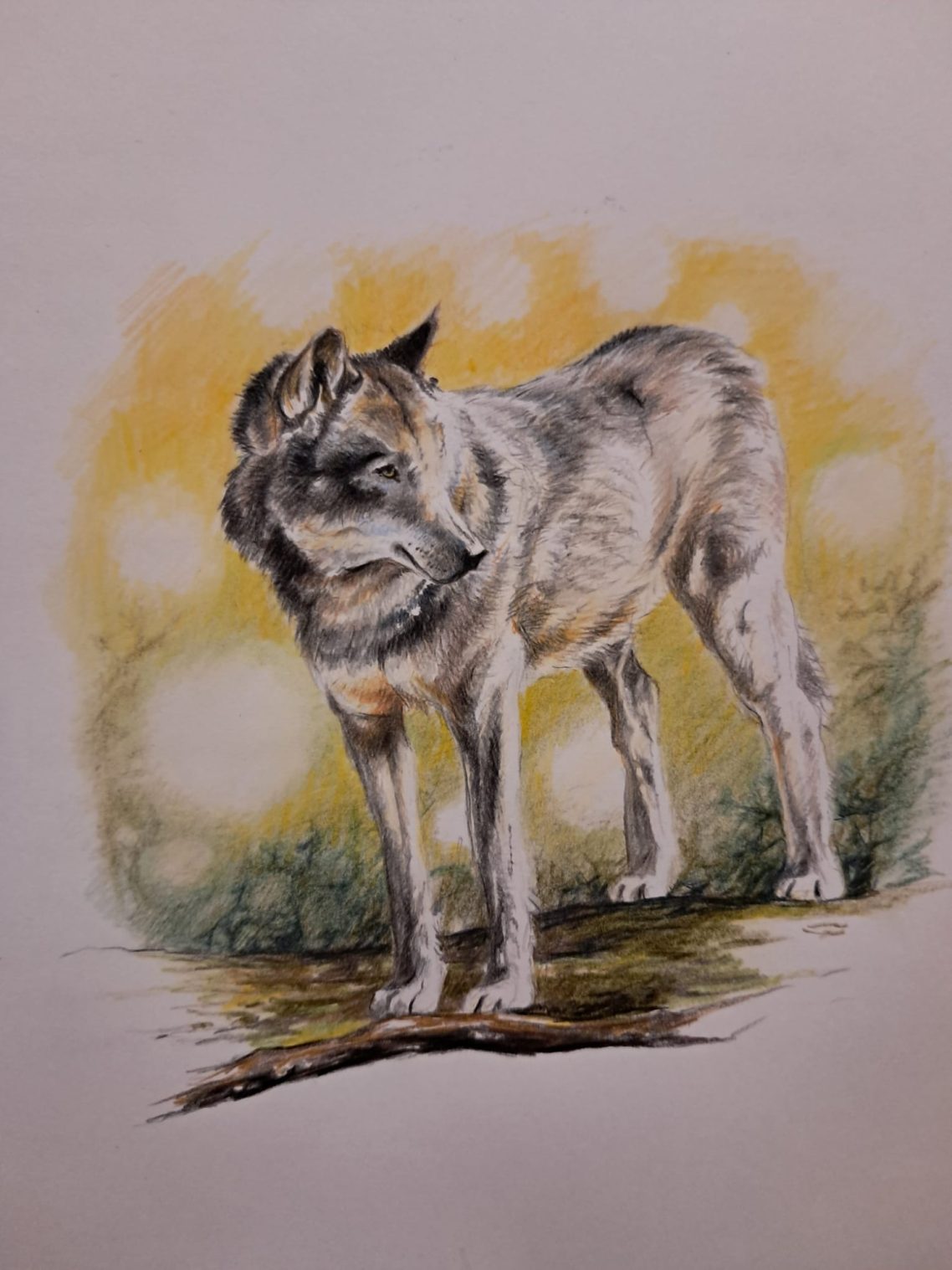 Einsamer Wolf