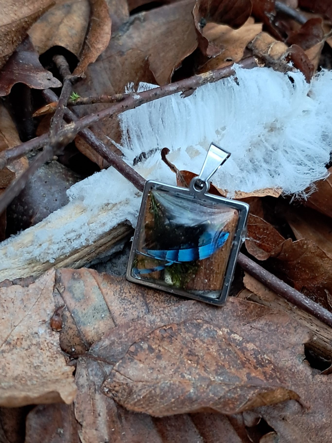 Eichelhäherfeder und Moos vor Holz