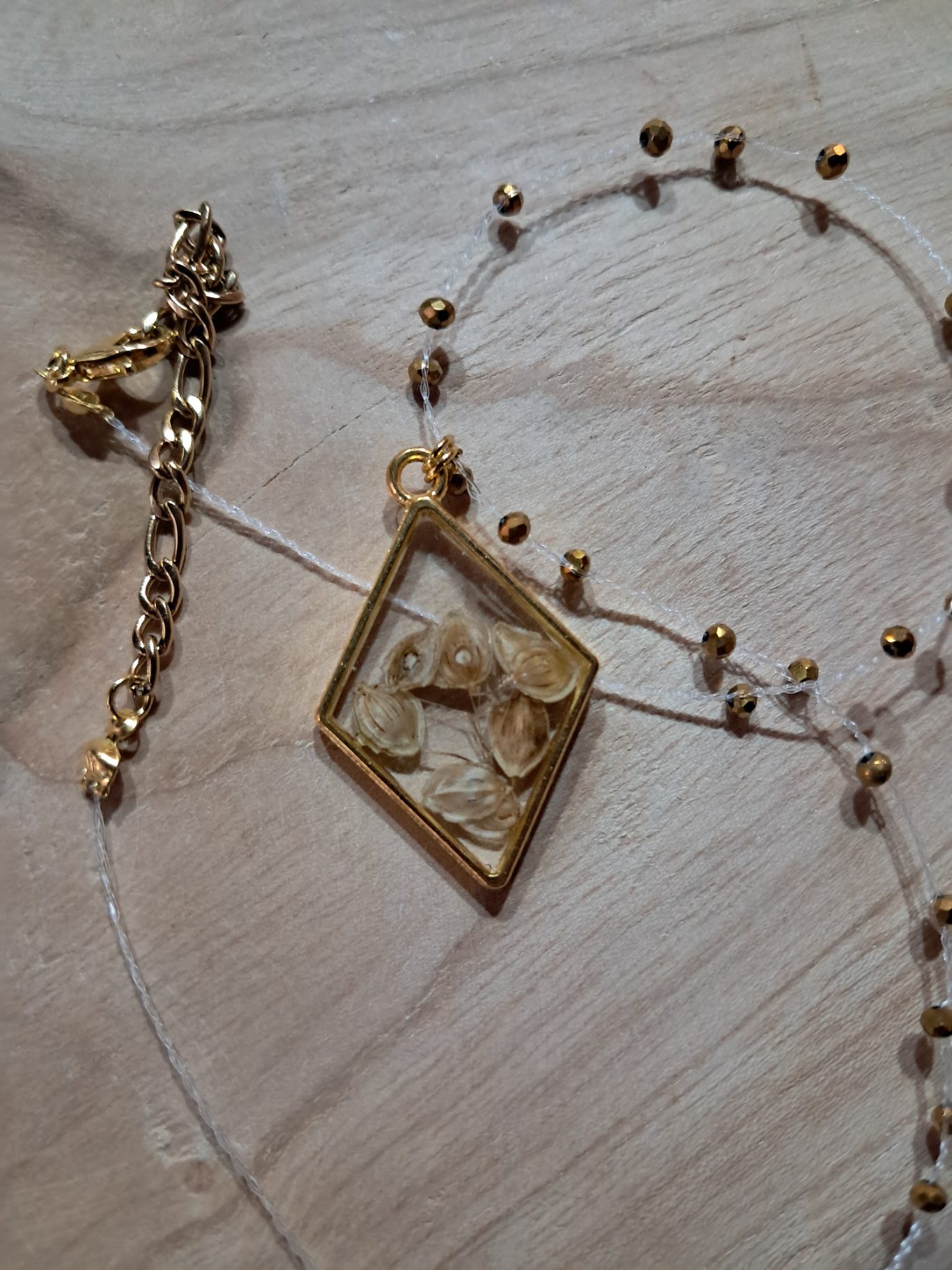 Bärenklausamen in Resin