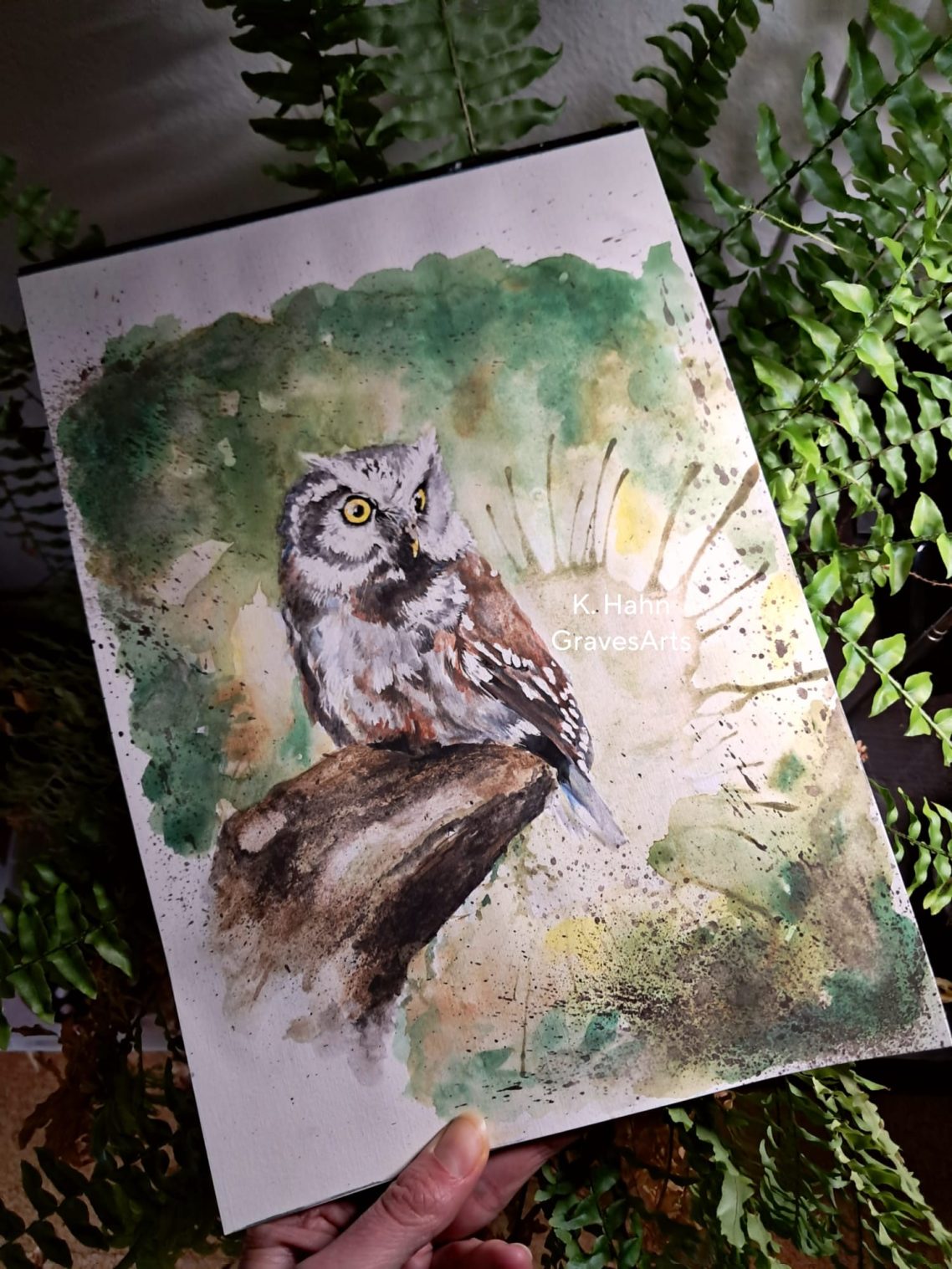 Käuzchen im Wald