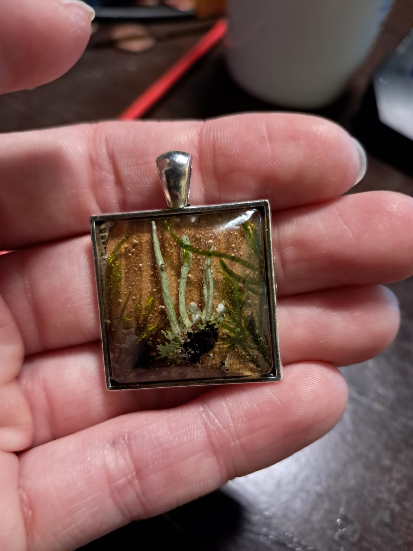 Flechten und Moos in Resin
